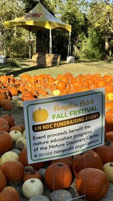 Pumpkin Patch at the Nature Discovery Center