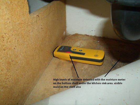 Testing the shelf under a kitchen sink for high moisture content of bottom shelf.