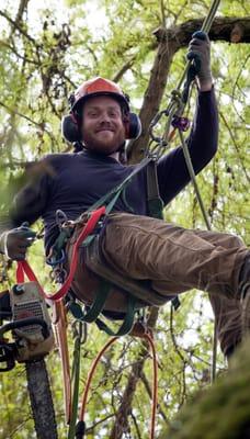 We really love working in trees and strive to make the best cuts possible to meet your needs while keeping the tree healthy