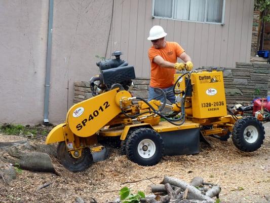 Joe grinding down an unsafe tree stump.