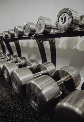 Custom Intek Strength Stainless Steel Dumbbells.