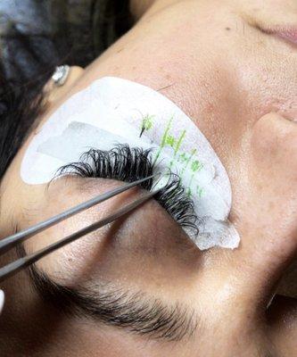 Lashed Out Lash Studio