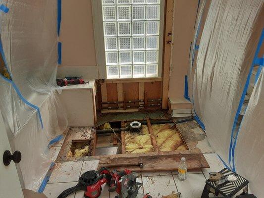 Shower with leaks and rotten sub-floor demoed.