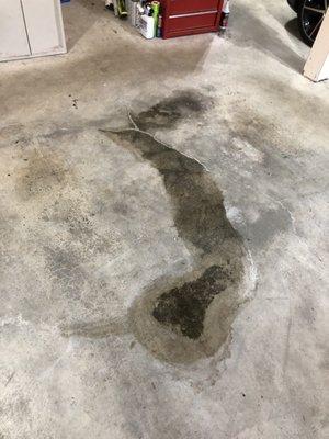 Oil puddle