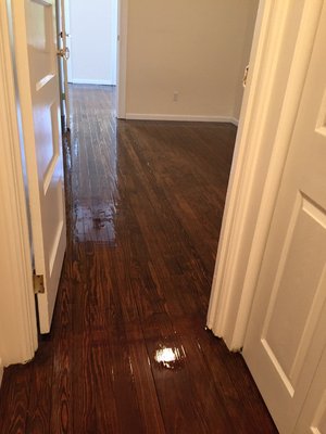 Pine floor old refinished