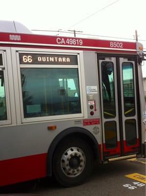 MUNI 66 Line