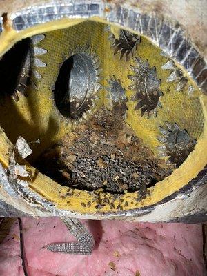 Frequently seen damaged air ducts.  Due to the damage, rodents were able to get inside and cause further damage.