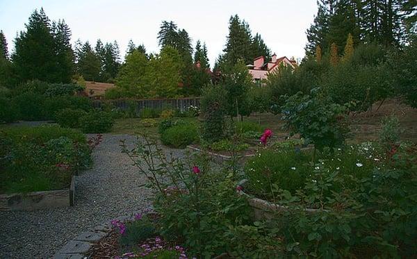 The inn's private garden was heavenly. They grow vegetables there for the dinners.