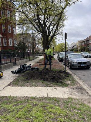 Sod Removal & Leveling