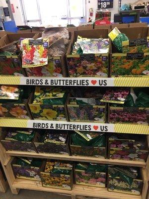 New Item - Bulbs - Assorted prices