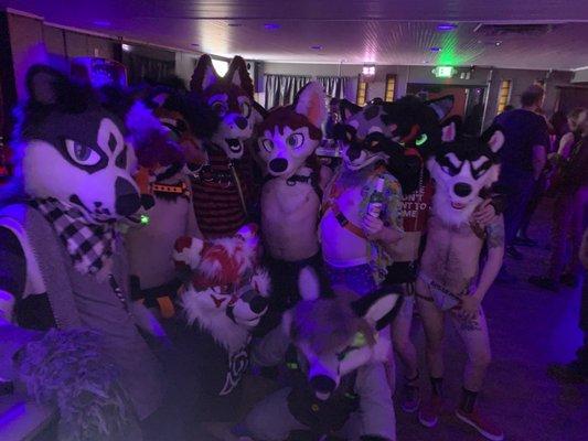 Furry event