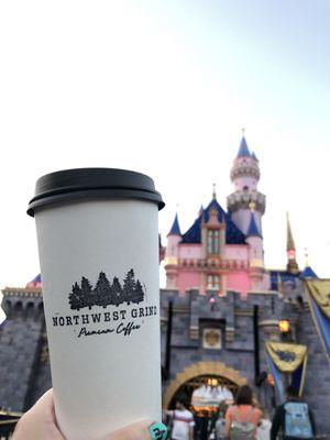 Northwest Grind at Disneyland