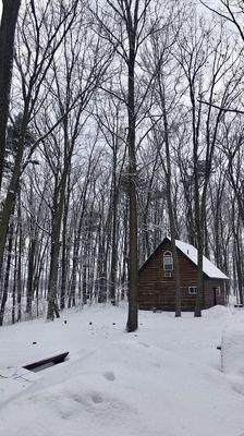 Our adorable cabin