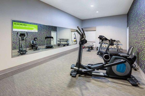 Health club  fitness center  gym