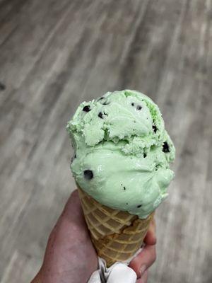 Mint Chocolate Chip