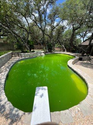 Pool using fiesta pools - chemicals way off - massive high CYA, etc