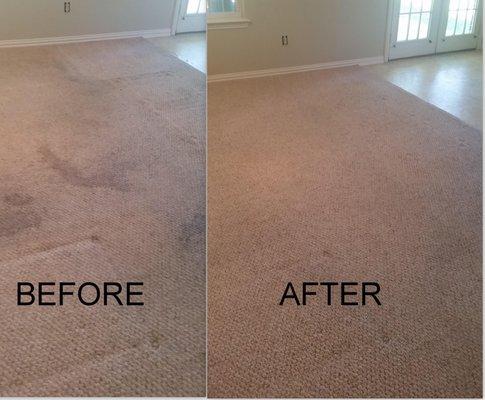 CARPET CLEANING