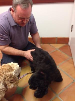 Dr. Hansen adjusting Lexie's neck and pelvis, as Nikki looks on.