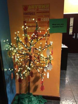 Our Giving Thanks Tree! What are you thankful for?