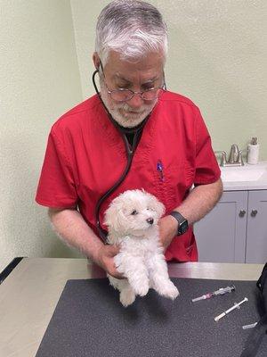 Puppy first check up