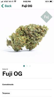 Fuji Og