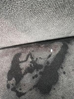 Blood on couch