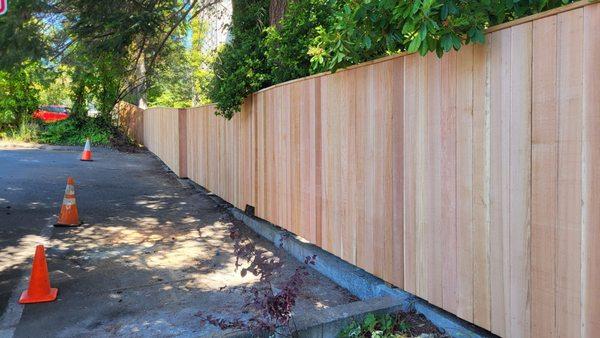 Privacy fence