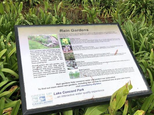 Rain garden