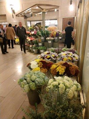 So many beautiful flowers and great customer service.....felt like I was in Europe.