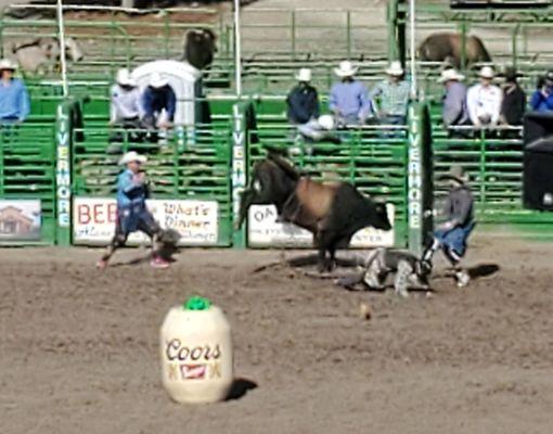 Bull riding