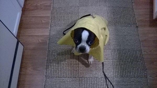 Ready for the rain