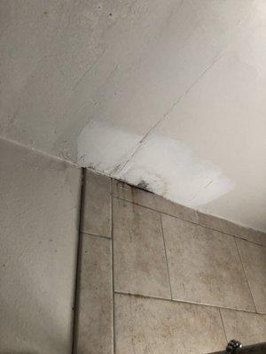 More mold in the bathroom--nothing done