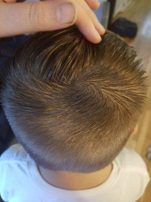 My son's "salom quality professional haircut"