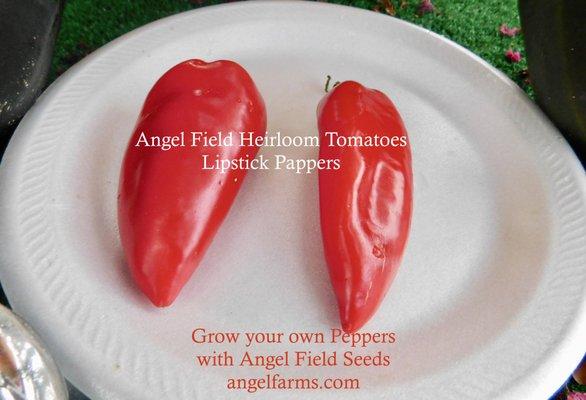 Grow your Own Garden in 2022 with Angel Field Garden Seeds