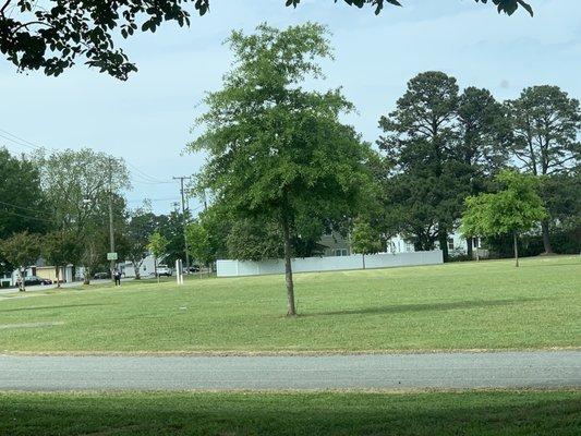 Paved track surrounding the playground area