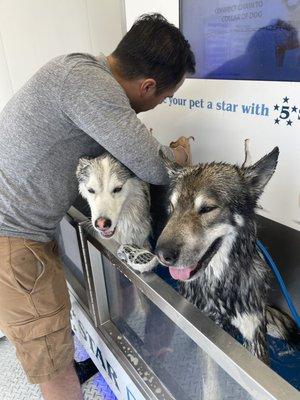 5 Star Car Wash & Dog Wash