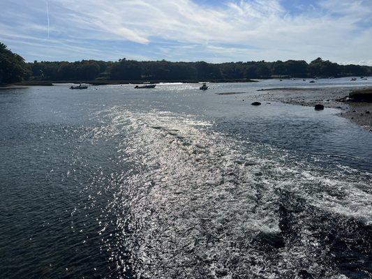 View from the bridge