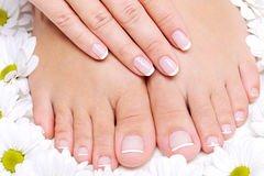 Pedicure and Manicure including paraffin treatments $50 . Come and relax !www.AdorbyAdina.com 9548169335