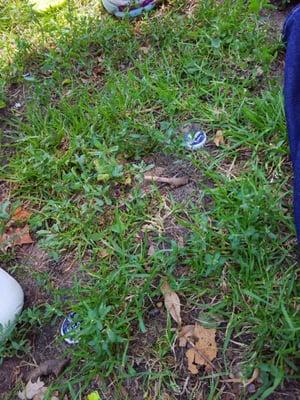 Locals bury their beer to keep it cold...that or they just don't pick up after themselves.