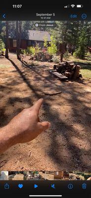 Showing lodgepole pines removed.