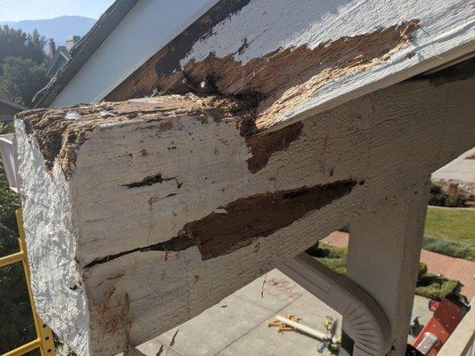 Dry rot in fascia and girder.