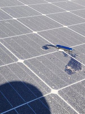 Paint on solar panels.