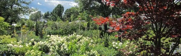 Trees and Shrubs surround the property from April through October.