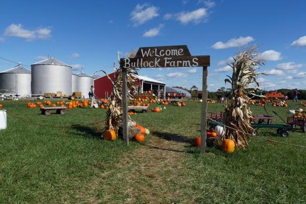 Bullock Farms