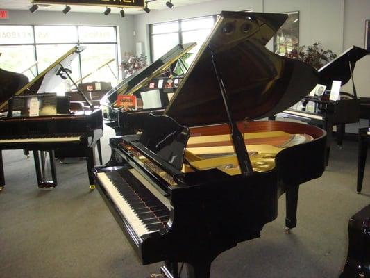 Yamaha Baby Grand at Rockaway Music