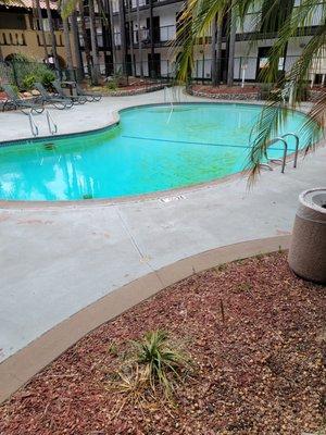 Swimming pool has algae and looks gross.