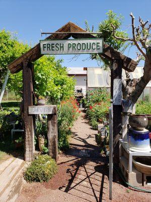 Entrance to her personal garden (adjacent shop). She's also part of a program that feeds the hungry from her garden!