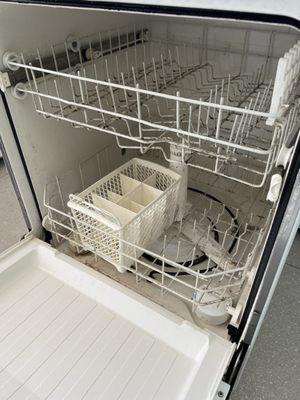 Dishwasher on move-in *after* attempting to clean