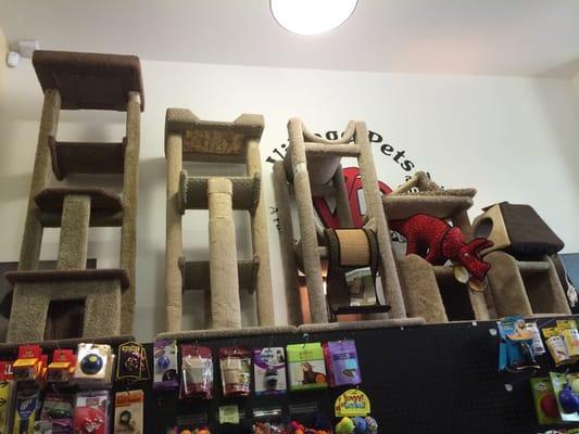 Nice selection of cat towers for your feline friends!