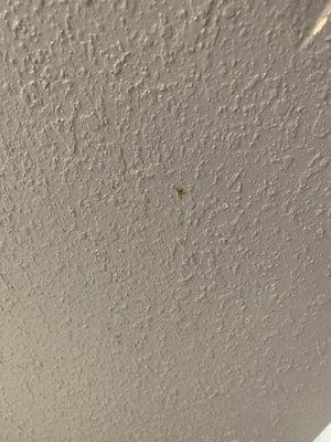 Dirt or ?? On wall